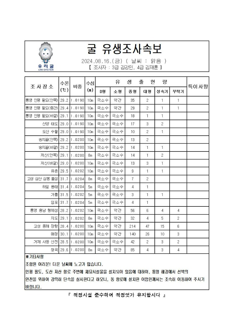 2024년 굴 유생조사 속보 08월 16일001.jpg