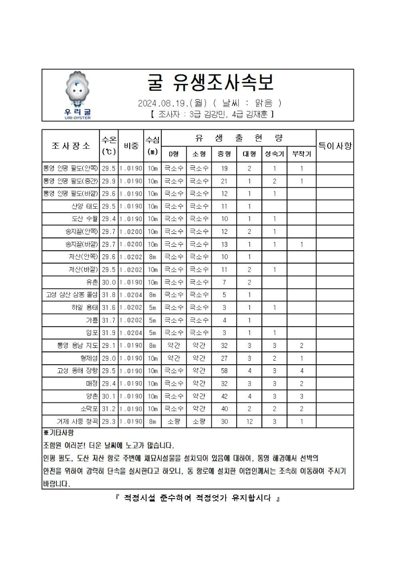 2024년 굴 유생조사 속보 08월 19일001.jpg