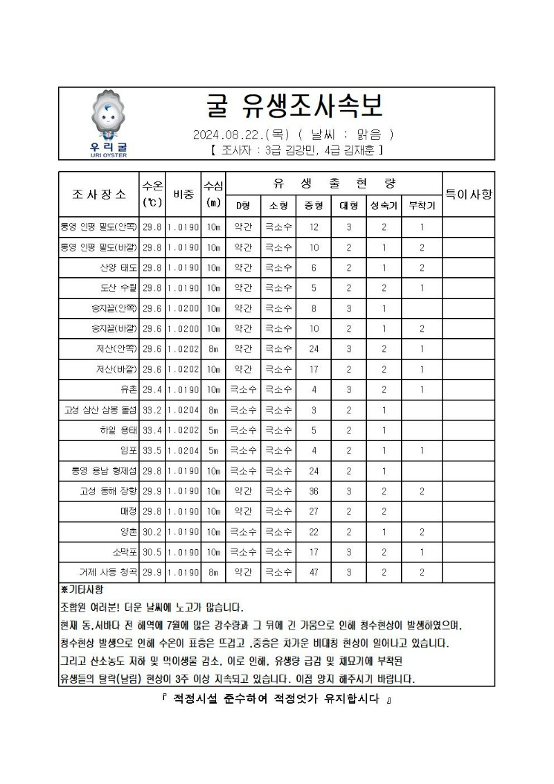 2024년 굴 유생조사 속보 08월 22일001.jpg