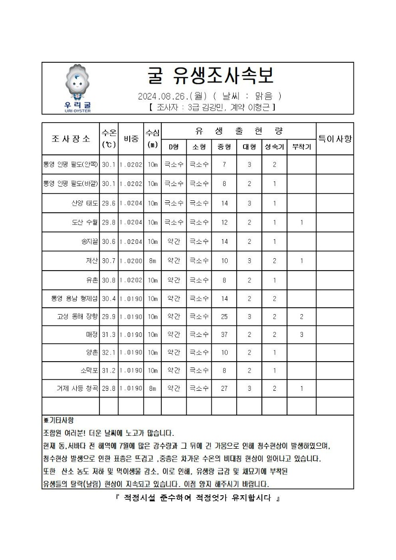 2024년 굴 유생조사 속보 08월 26일001.jpg