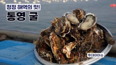 투데이 ISSUE - 청정해역의 맛! 봄철 굴…